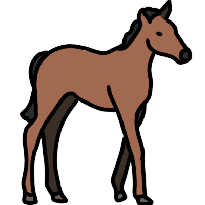 a thin brown horse foal with black mane and tail, facing the right.